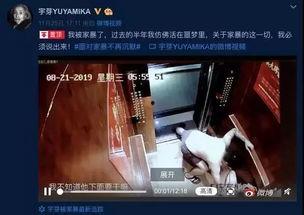 网红爆料家暴视频播放在线观看,网络直播下的家庭暴力真相 第1张 网红爆料家暴视频播放在线观看,网络直播下的家庭暴力真相 第1张